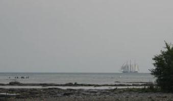 2.2010_9001.jpg